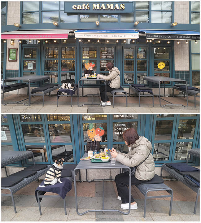 카페-마마스-잠실점