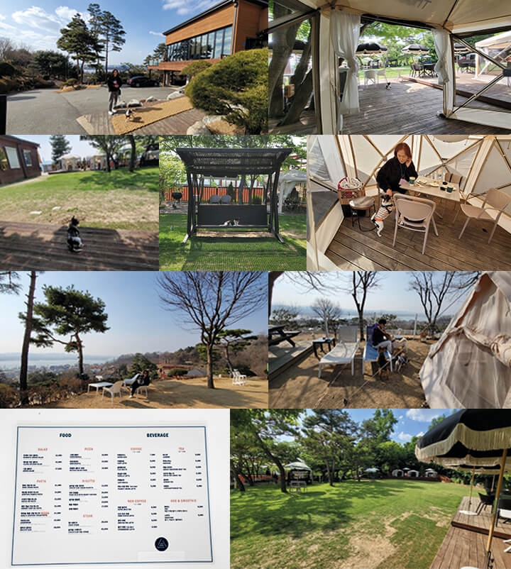 남양주_카페스토리_반려견동반