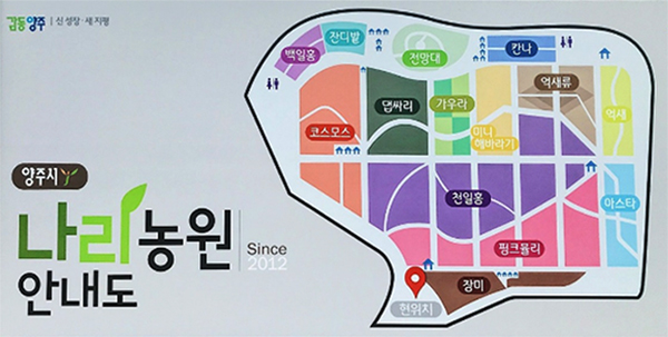 양주 천일홍 축제 나리농원 가을 꽃 명소 애견동반 나들이 2023 4 양주 천일홍 축제_나리농원안내도