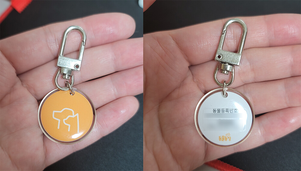 반려견 등록 필수 내장칩 외장칩 등록방법 집중단속 기간 2023 4 반려견 등록 외장칩