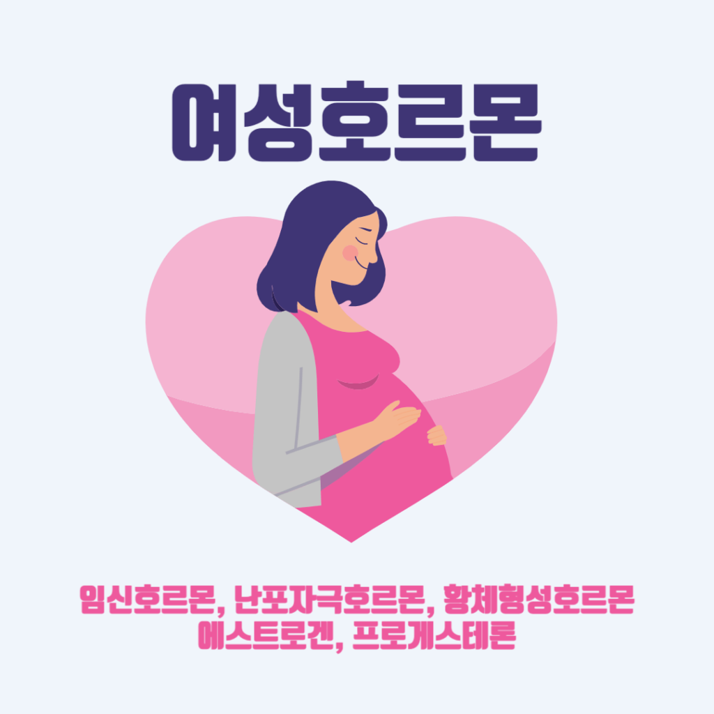 여성호르몬