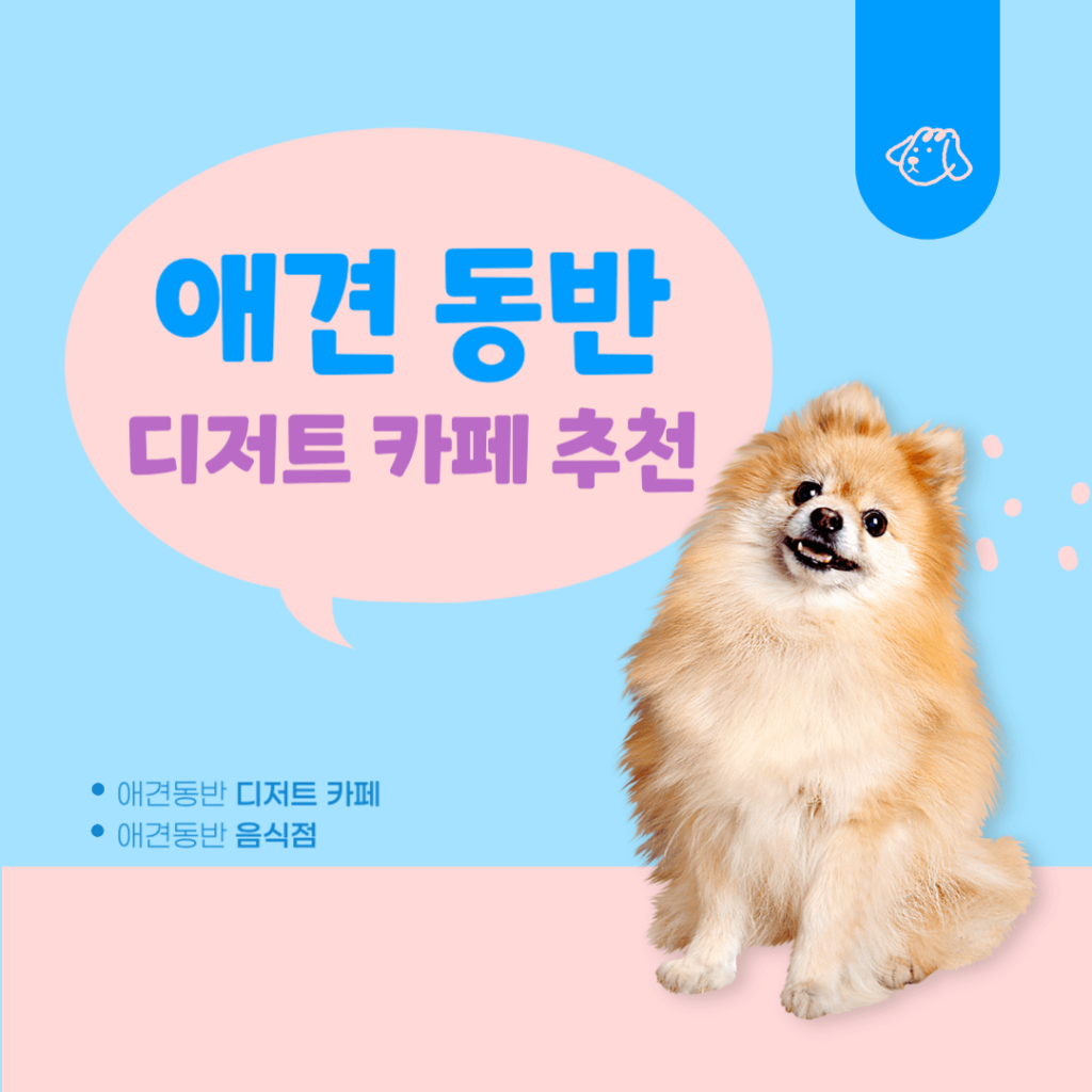 인천-애견동반-디저트-카페-추천-모음-5