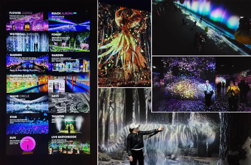 아르떼뮤지엄-강릉-미디어아트-전시관