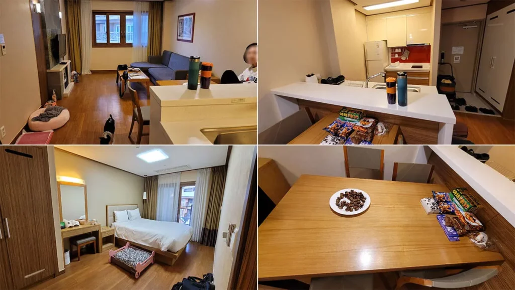 평창 알펜시아 홀리데이 인 앤 스위트 콘도 애견동반 리조트 스키장 2박 3일 후기 2 평창-알펜시아-홀리데이-인-앤-스위트-콘도-애견동반-리조트