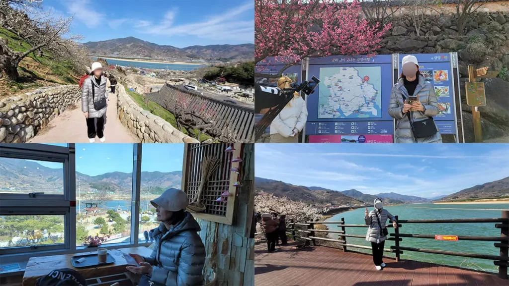 굿모닝여행사-광양-매화축제-구례-산수유마을-리무진버스-여행1