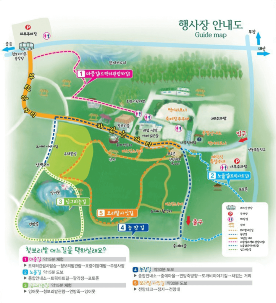 고창 청보리밭 축제