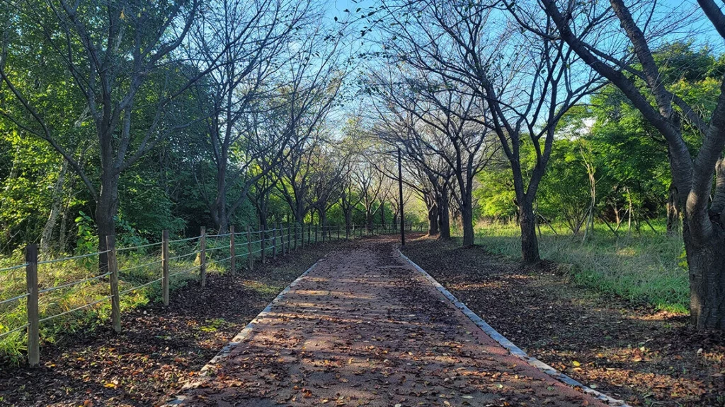 인천-드림파크-야생화단지