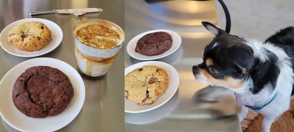 포천-대형카페-DKFF-커피-쿠키