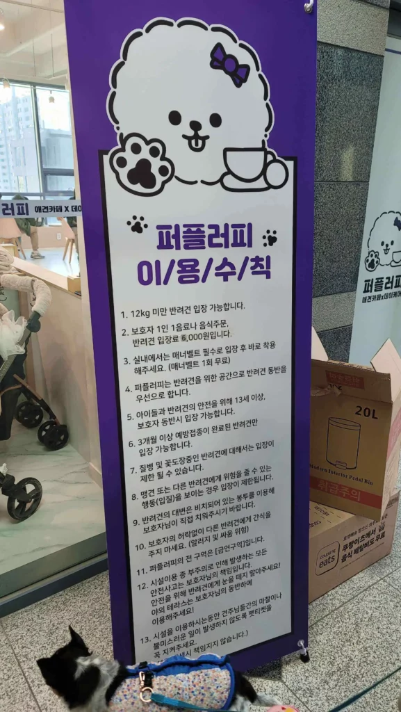 김포-풍무동-애견카페-퍼플러피